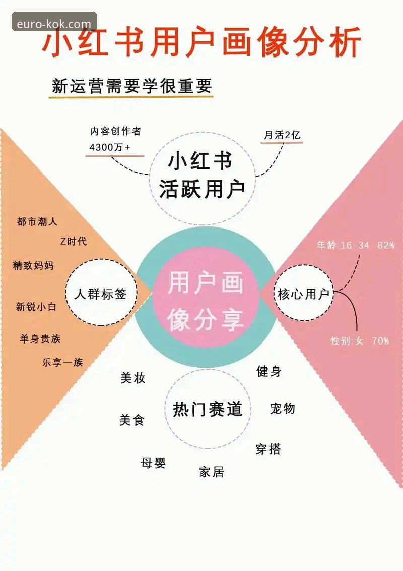 kok下载安装官方下载 资深用户深度解析:kok下载安装官方下载全流程与使用心得
